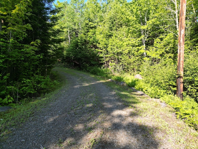 168 W Tucker Ridge Rd, Springfield, ME 04487 - view of road with a wooded view