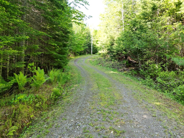 168 W Tucker Ridge Rd, Springfield, ME 04487 - view of street with a forest view