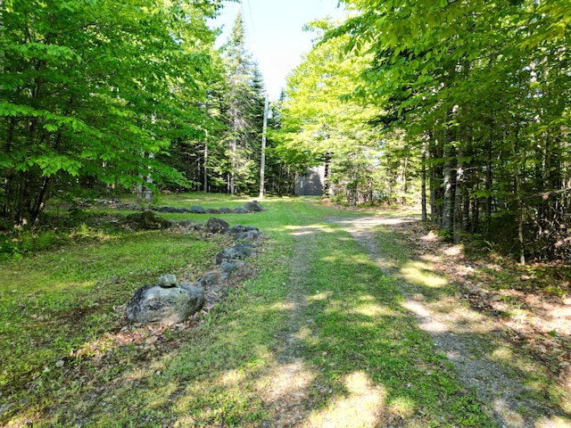 168 W Tucker Ridge Rd, Springfield, ME 04487 - view of green lawn featuring a view of trees
