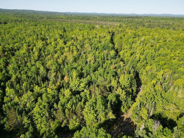 168 W Tucker Ridge Rd, Springfield, ME 04487 - bird's eye view of a forest