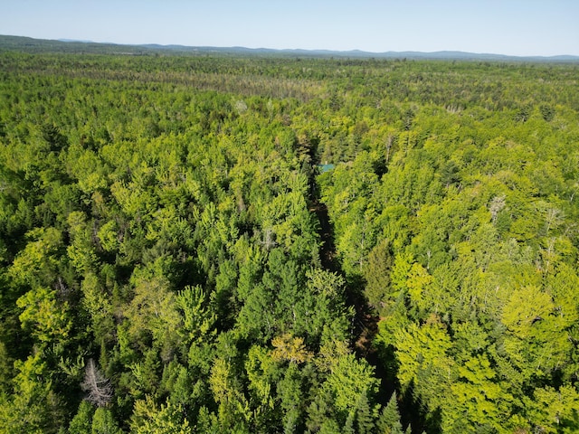 168 W Tucker Ridge Rd, Springfield, ME 04487 - drone / aerial view of a forest