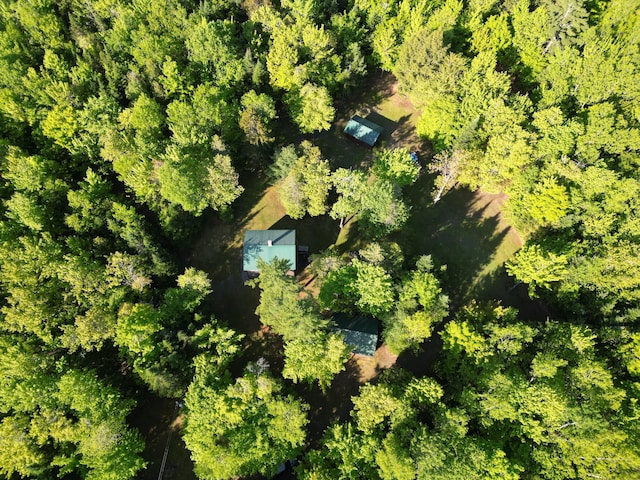 168 W Tucker Ridge Rd, Springfield, ME 04487 - drone / aerial view