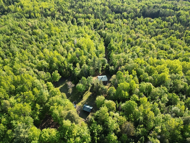 168 W Tucker Ridge Rd, Springfield, ME 04487 - bird's eye view of a heavily wooded area