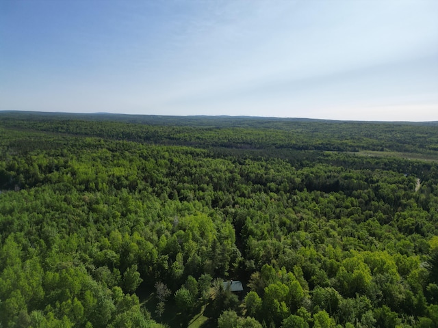 168 W Tucker Ridge Rd, Springfield, ME 04487 - aerial view of a forest