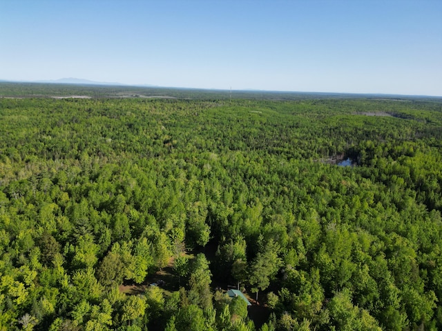 168 W Tucker Ridge Rd, Springfield, ME 04487 - aerial view of a forest