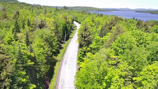 298 W Rd, Portage Lake, ME 04768 - photo 40