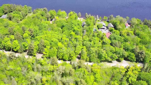 298 W Rd, Portage Lake, ME 04768 - photo 45
