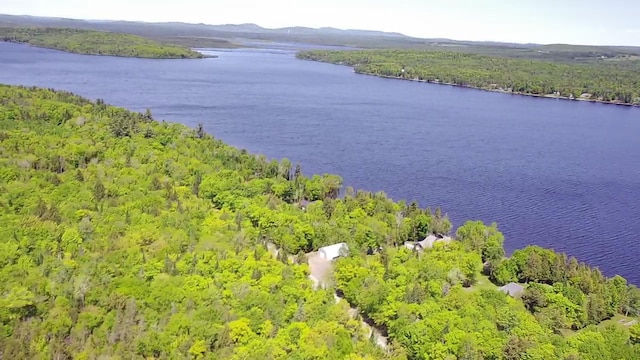 298 W Rd, Portage Lake, ME 04768 - photo 1