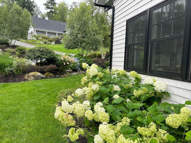 19 Vista Way, Mount Desert, ME 04660 - view of grassy yard