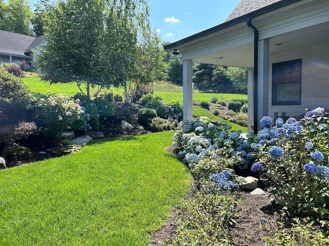 19 Vista Way, Mount Desert, ME 04660 - view of green lawn