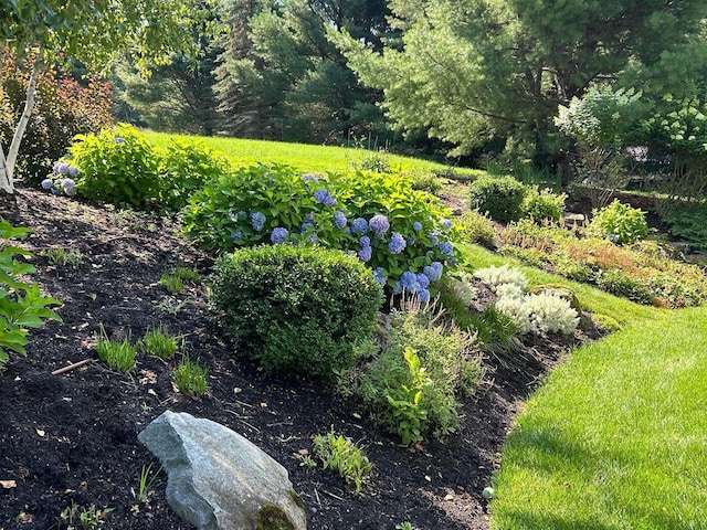 19 Vista Way, Mount Desert, ME 04660 - view of yard