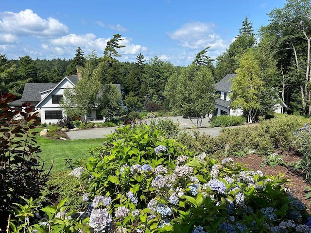 19 Vista Way, Mount Desert, ME 04660 - view of yard