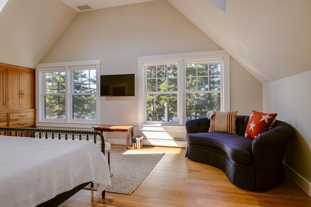 19 Vista Way, Mount Desert, ME 04660 - bedroom featuring vaulted ceiling, light wood-type flooring, and a baseboard heating unit