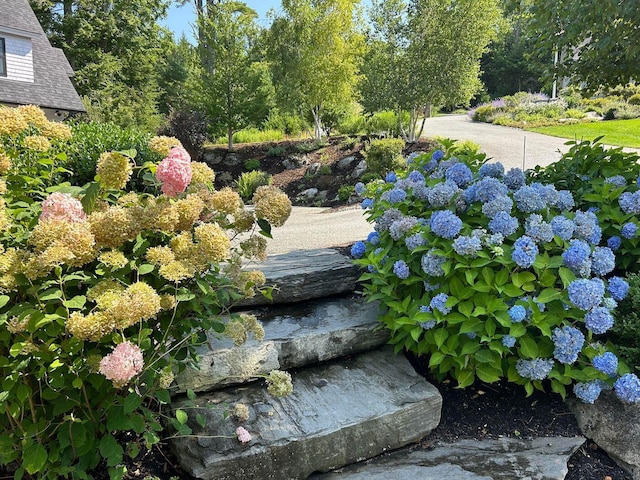 19 Vista Way, Mount Desert, ME 04660 - view of yard