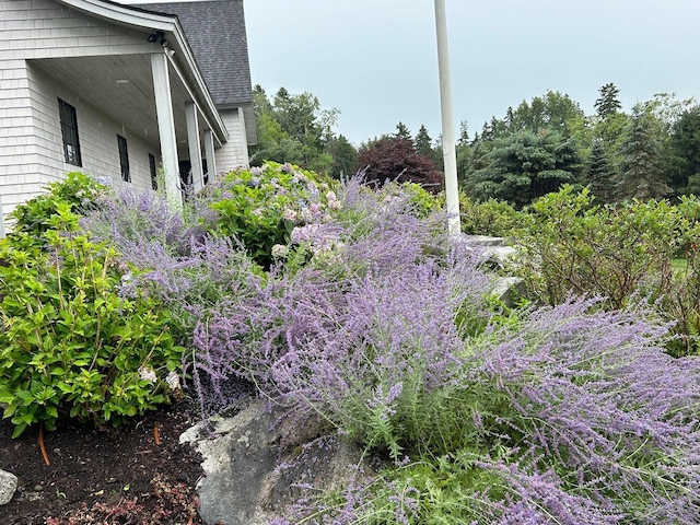 19 Vista Way, Mount Desert, ME 04660 - view of yard