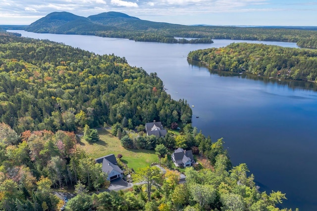 19 Vista Way, Mount Desert, ME 04660 - bird's eye view of a forest and a water and mountain view