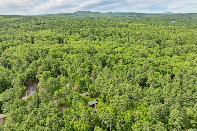 37 Kennedy Dr, Waterboro, ME 04061 - photo 25