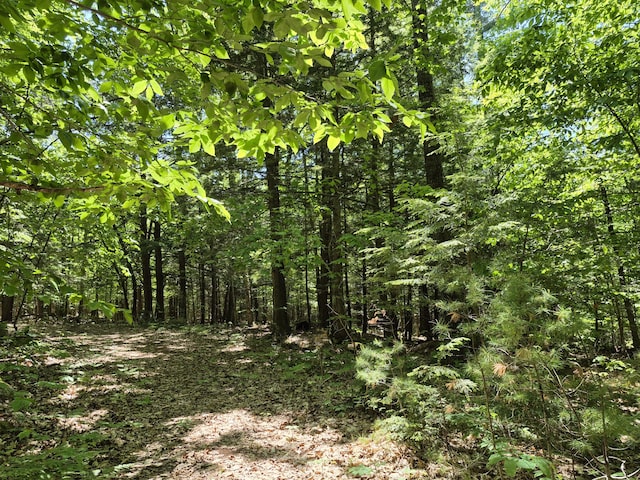 LOT36D Foster Ln, Belgrade, ME 04918