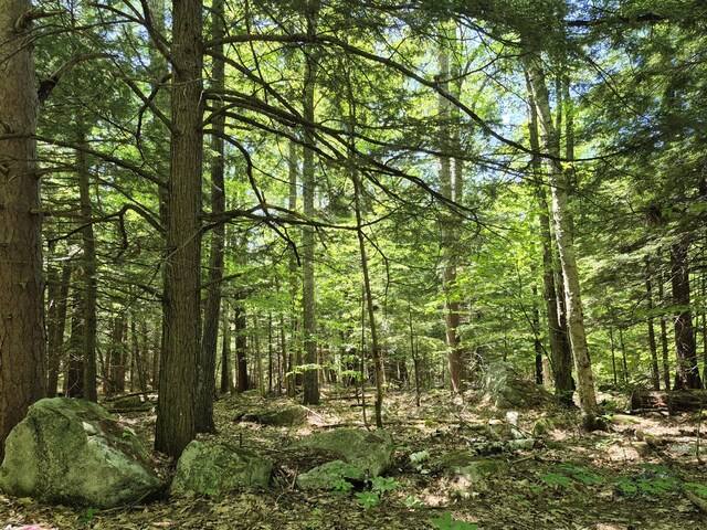 LOT36D Foster Ln, Belgrade, ME 04918