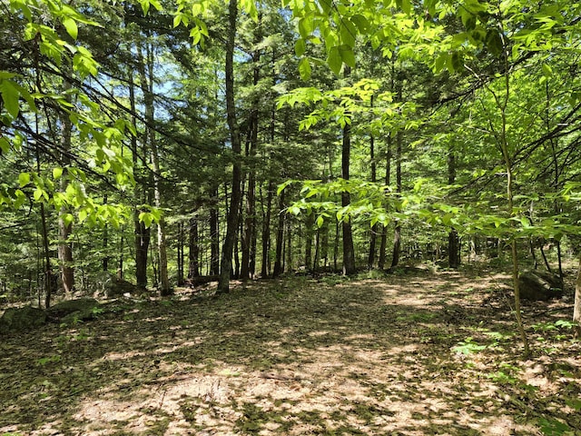 LOT36D Foster Ln, Belgrade, ME 04918
