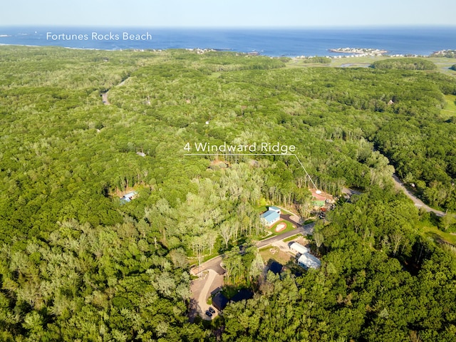 4 Windward Rdg, Biddeford, ME 04005 - bird's eye view of a forest