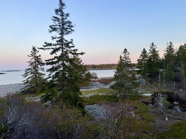 LOT4 Pequot Rd, Vinalhaven, ME 04863 - photo 2