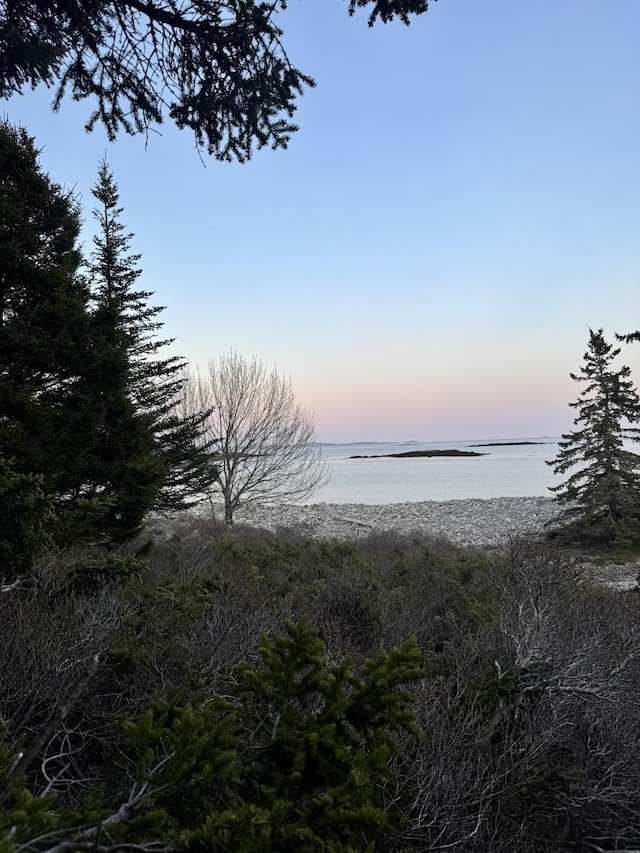 LOT4 Pequot Rd, Vinalhaven, ME 04863 - photo 8