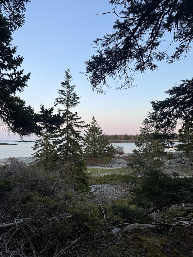 LOT4 Pequot Rd, Vinalhaven, ME 04863 - photo 12