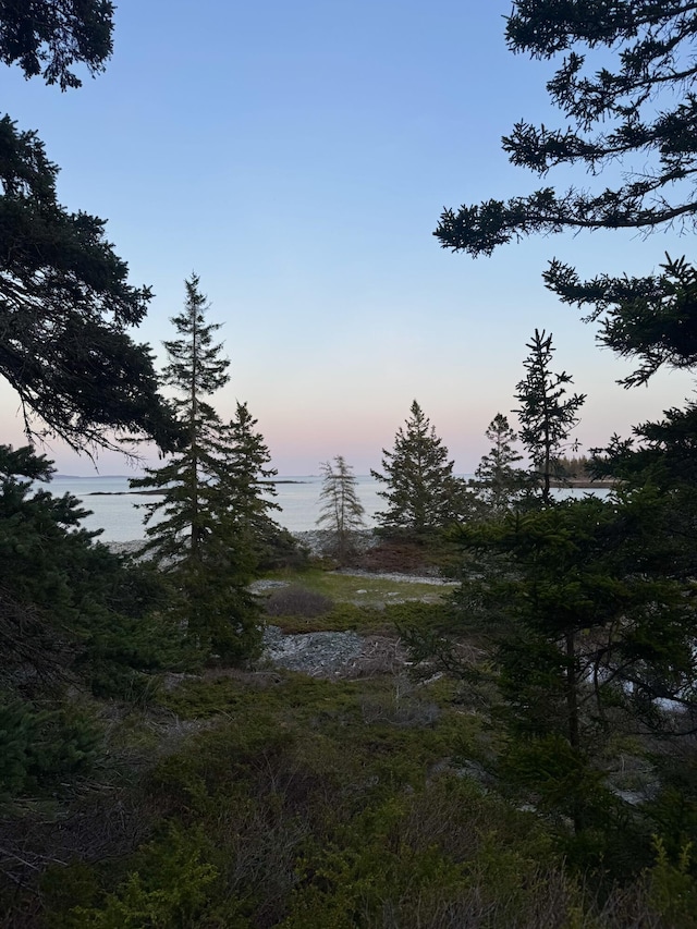 LOT4 Pequot Rd, Vinalhaven, ME 04863 - photo 7