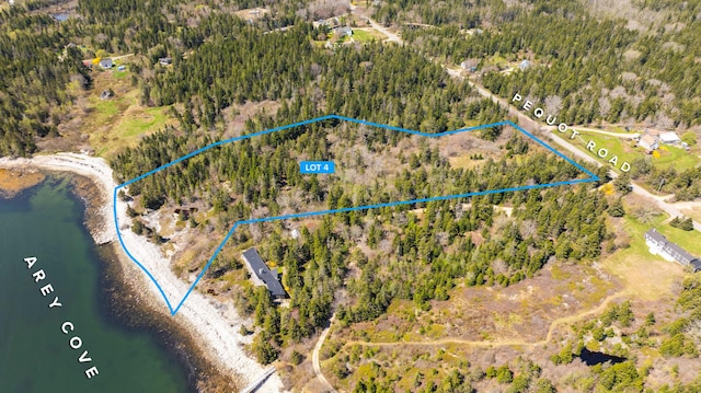 LOT4 Pequot Rd, Vinalhaven, ME 04863 - photo 4