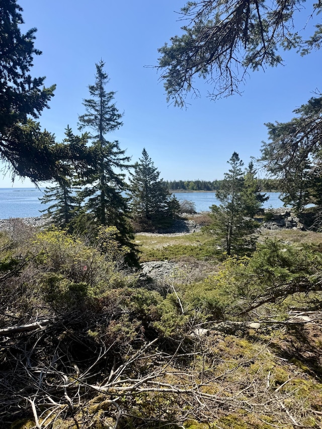 LOT4 Pequot Rd, Vinalhaven, ME 04863 - photo 13
