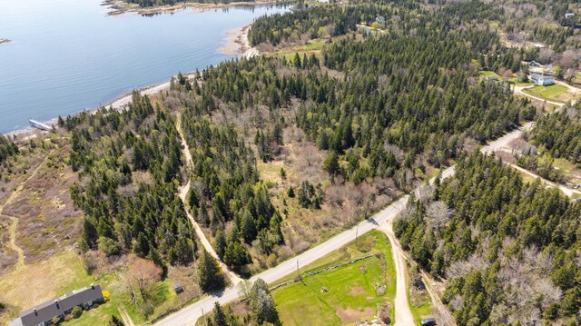 LOT4 Pequot Rd, Vinalhaven, ME 04863 - photo 17