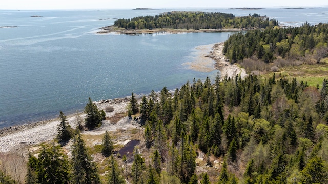 LOT4 Pequot Rd, Vinalhaven, ME 04863 - photo 19