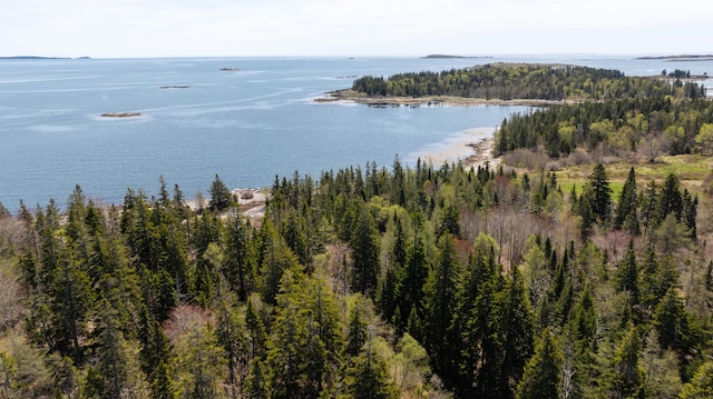 LOT4 Pequot Rd, Vinalhaven, ME 04863 - photo 20