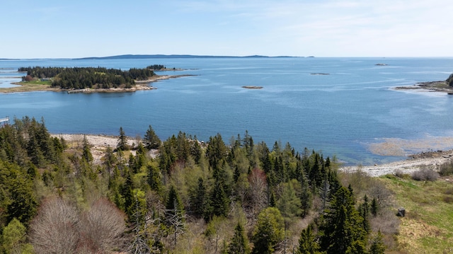 LOT4 Pequot Rd, Vinalhaven, ME 04863 - photo 21