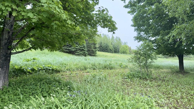 151 Parkhurst Siding Rd, Presque Isle, ME 04769 - photo 12