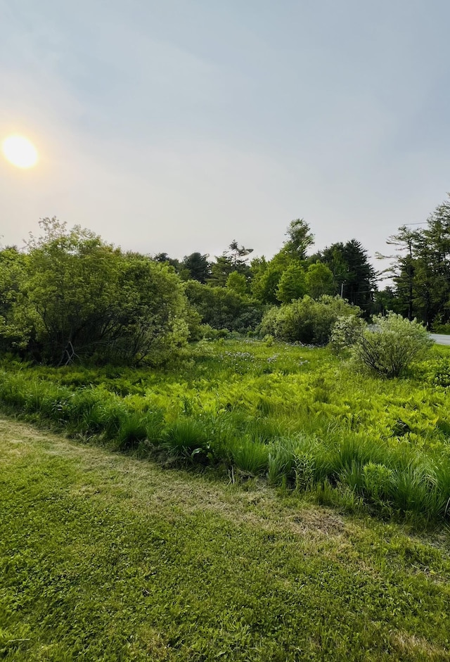 23 Ichabod Ln, Hampden, ME 04444 - view of local wilderness