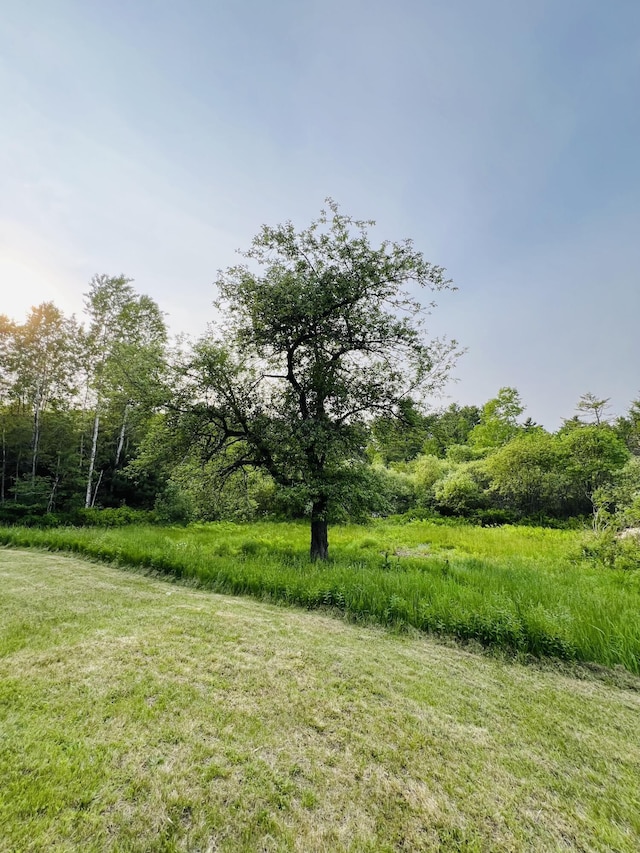 23 Ichabod Ln, Hampden, ME 04444 - view of yard
