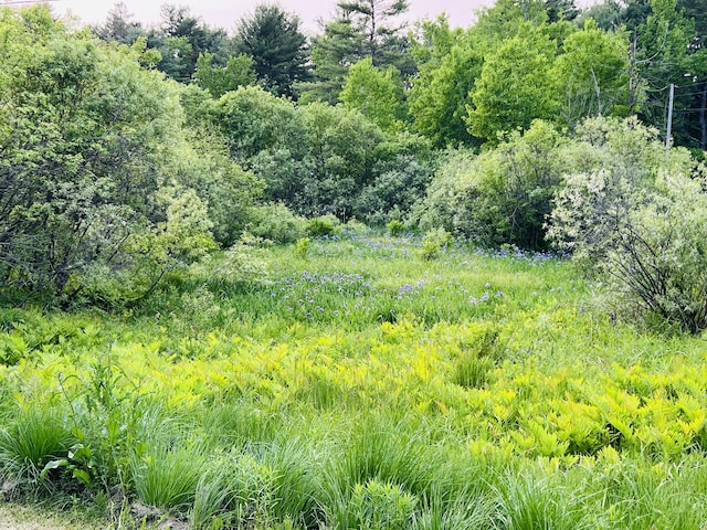 23 Ichabod Ln, Hampden, ME 04444 - view of tree filled area