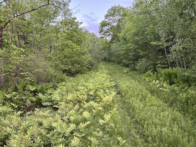 M18L13 Mercer Rd, Norridgewock, ME 04957 - photo 7