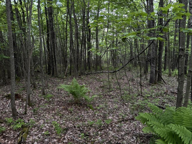 M18L13 Mercer Rd, Norridgewock, ME 04957 - photo 44
