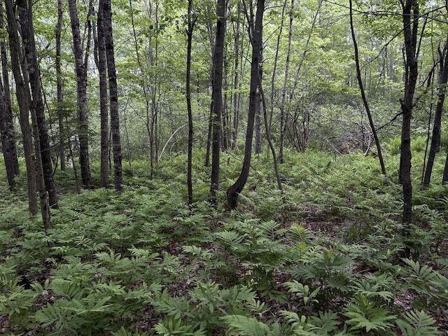 M18L13 Mercer Rd, Norridgewock, ME 04957 - photo 49