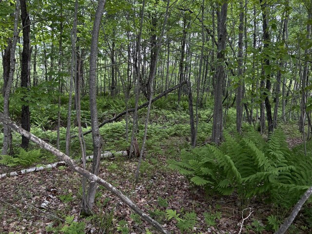 M18L13 Mercer Rd, Norridgewock, ME 04957 - photo 55