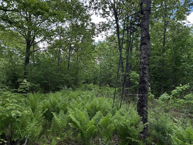 M18L13 Mercer Rd, Norridgewock, ME 04957 - photo 76