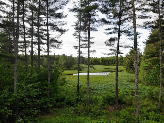 M18L13 Mercer Rd, Norridgewock, ME 04957 - photo 87