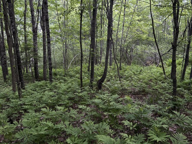 M18L13 Mercer Rd, Norridgewock, ME 04957 - photo 79