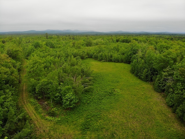 M18L13 Mercer Rd, Norridgewock, ME 04957 - photo 95