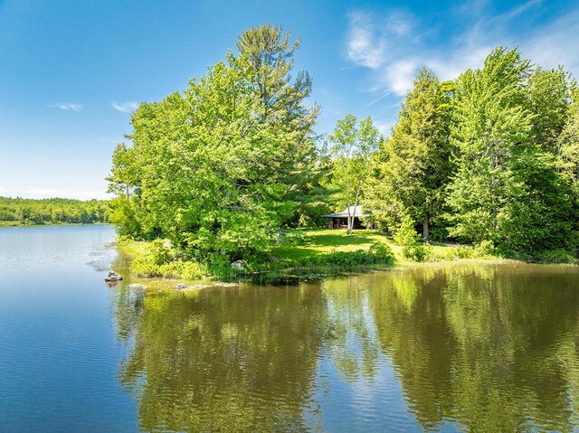 149 Carey Ln, Freedom, ME 04941 - photo 46