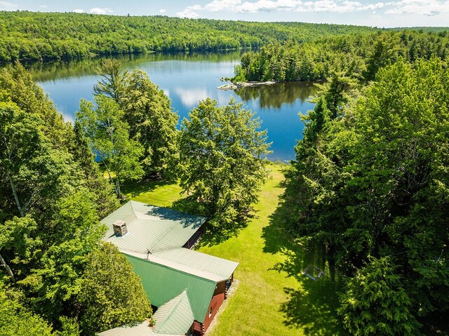 149 Carey Ln, Freedom, ME 04941 - photo 47