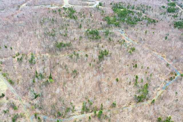 LOT1 Blair Hill Rd, Greenville, ME 04441 - aerial view of property and surrounding area